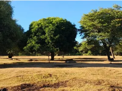 Terreno à venda de 3.600 m² em Caacupé, Cordillera 3