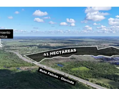 Land for sale spanning 41 hectares in Nueva Asunción 4
