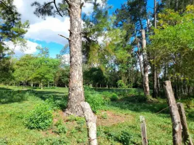 Terreno en venta de 4.480 m² en San José de los Arroyos, Caaguazú 2
