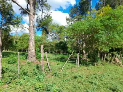 Terreno en venta de 4.480 m² en San José de los Arroyos, Caaguazú 3