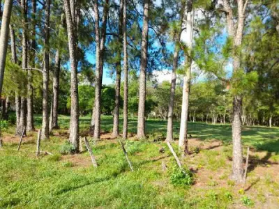 Terreno en venta de 4.480 m² en San José de los Arroyos, Caaguazú 4