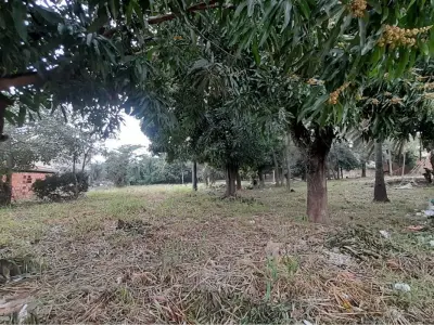 Terreno à venda de 4.569 m² em Mariano Roque Alonso 3