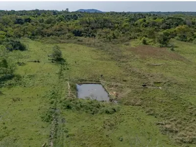 Land for sale, 5 ha in Yaguarón, Ñuati Guazú 4