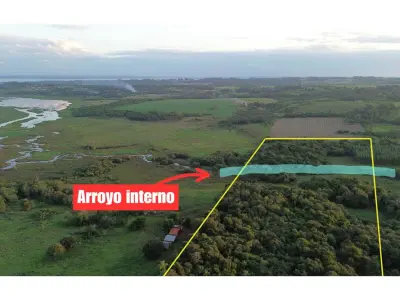 Terreno en venta de 6 hectáreas en Encarnación 3