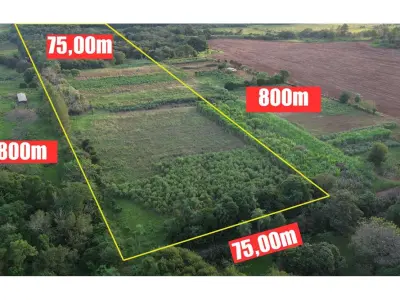 Terreno en venta de 6 hectáreas en Encarnación 4