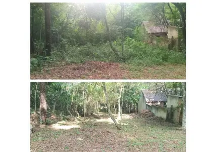 Land for sale of 828 m² in Nueva Colombia, Cordillera 2