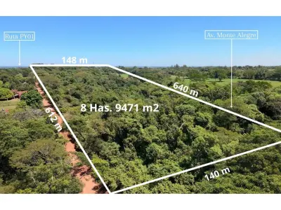Terreno en venta de 89.471 m² en Coronel Bogado 3