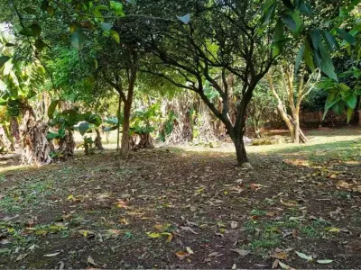 Terreno en venta en Acahay, Paraguarí 4