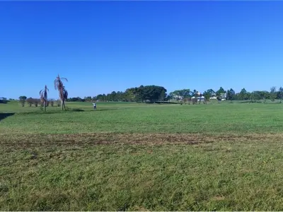 Terreno à venda em Agua Vista, San Juan del Paraná 3