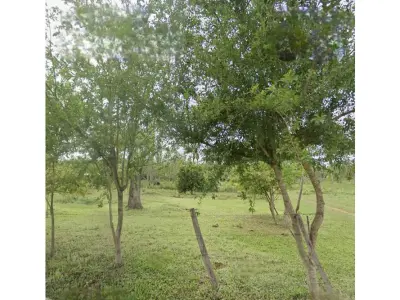 Terreno à venda em Aldama Cañada, Itauguá 3