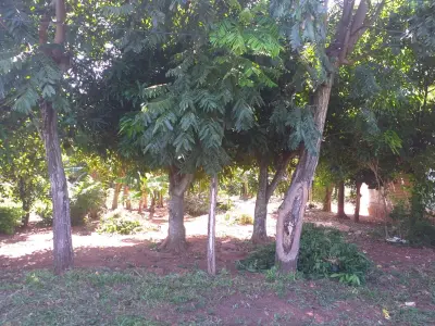 Terreno à venda em Aldama Cañada, Itauguá - 360 m² 4