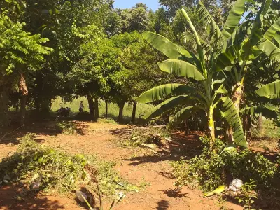 Terreno à venda em Aldama Cañada, Itauguá - 360 m² 5