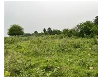 Terreno en venta en Alto Verá, Itapúa 3