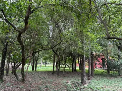 Land for sale in Altos, Cordillera 3