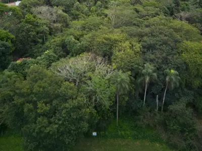 Terreno en venta en Altos, Cordillera 4