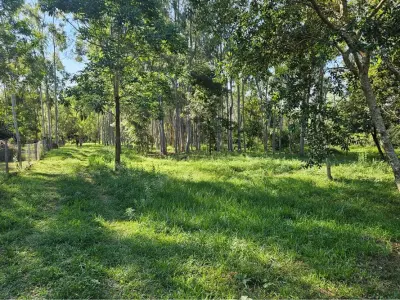 Terreno en venta en Altos, Cordillera – 3.240 m² 3