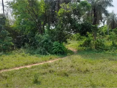 Land for sale in Altos, Cordillera 3