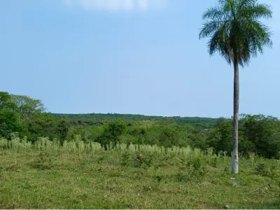Terreno à venda em Altos, Cordillera 3