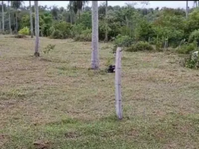 Terreno à venda em Altos, Departamento de Cordillera 3