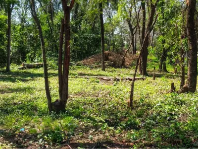 Terreno à venda em Fracción Yvoty, Areguá 3