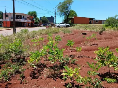Land for sale in Arroyo Porã, Cambyretá 3