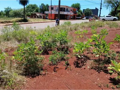 Land for sale in Arroyo Porã, Cambyretá 4