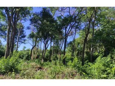 Terreno à venda em Arroyo Porá, Encarnación 3