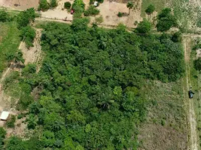 Terreno à venda em Arroyos y Esteros, Cordillera 2