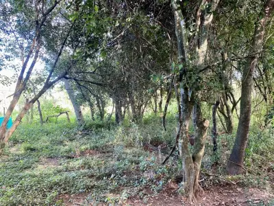 Land for sale in Arroyos y Esteros, Cordillera 3
