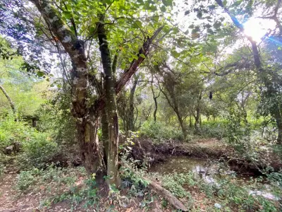 Land for sale in Arroyos y Esteros, Cordillera 4