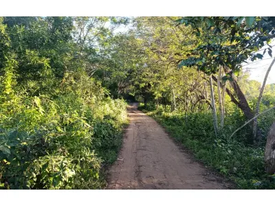 Terreno en venta en Arroyos y Esteros, Cordillera 4