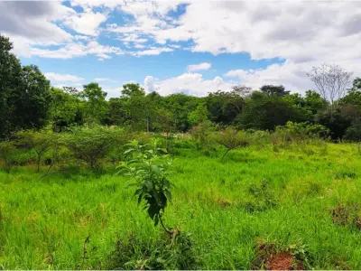 Terreno à venda em Arroyos y Esteros, Cordillera 2