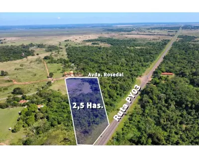 Terreno en venta en Arroyos y Esteros, Cordillera 2