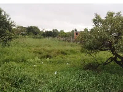 Land for sale in Ayolas, Misiones 2