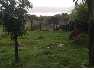 Land for sale in Ayolas, Misiones 4