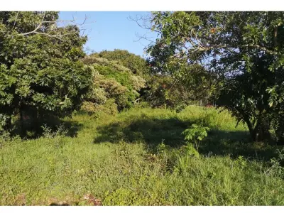 Land for sale in Ayolas, Misiones 3