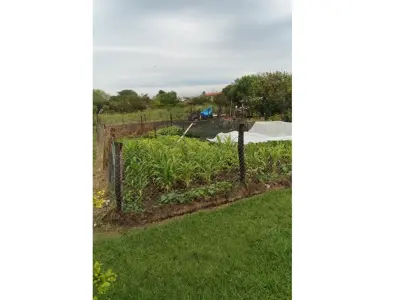 Land for sale in Ayolas, Misiones 3