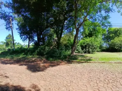 Terreno à venda no bairro 8 de Diciembre, Encarnación 4