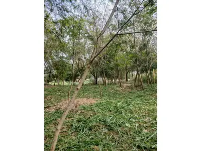 Terreno à venda no Barrio Catedral, Ciudad del Este 5