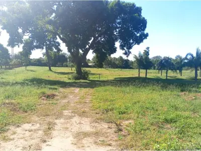 Terreno en venta en Barrio Cerrado Boreal, Filadelfia 4