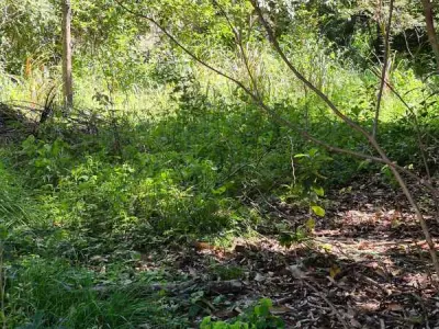 Land for Sale in Gated Community in Areguá - Near Lake Ypacaraí 2