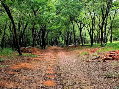 Terreno à venda em condomínio fechado Parquealto, Ypacaraí 4