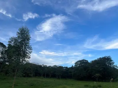 Terreno en venta en Barrio Cerro Real, Caacupé 2