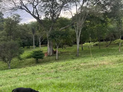 Terreno en venta en Barrio Cerro Real, Caacupé 3