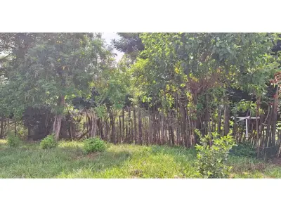 Land for sale in Barrio Itá Paso, Encarnación 2