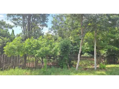 Land for sale in Barrio Itá Paso, Encarnación 4