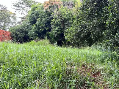 Terreno à venda no bairro La Victoria, San Lorenzo 2