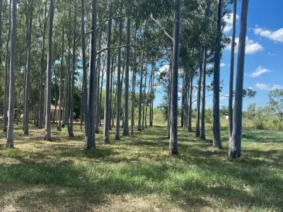 Land for Sale near Barrio Puerta del Lago, San Bernardino 3