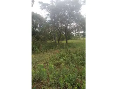 Terreno à venda no Barrio San Blas, Caacupé 3