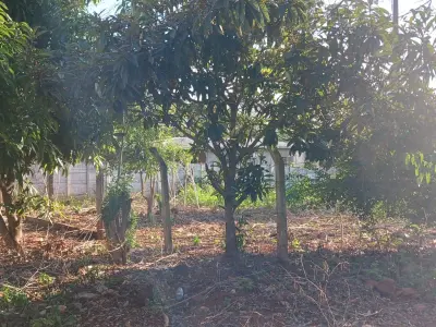 Land for Sale in San Rafael, Presidente Franco 3